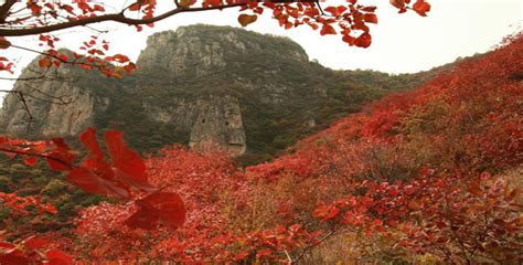 黎城 四方山|四方山